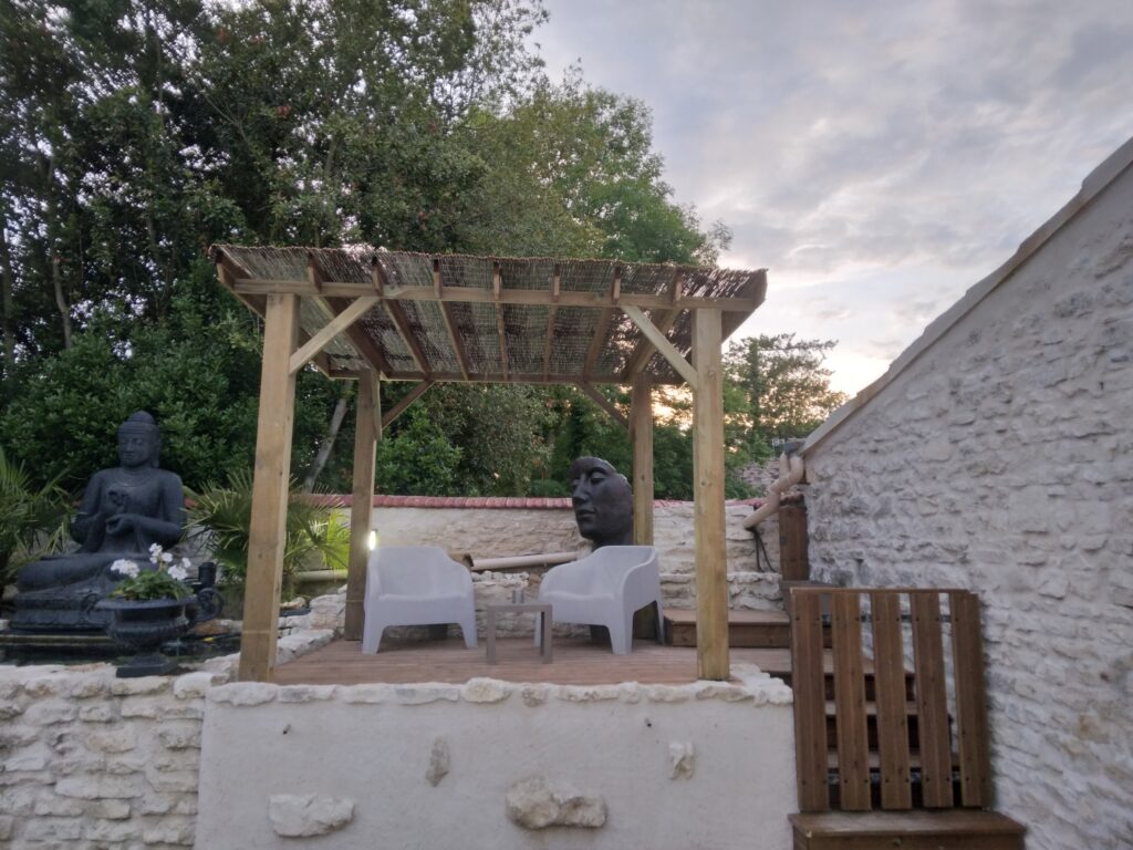 espace exterieur bassin poisson