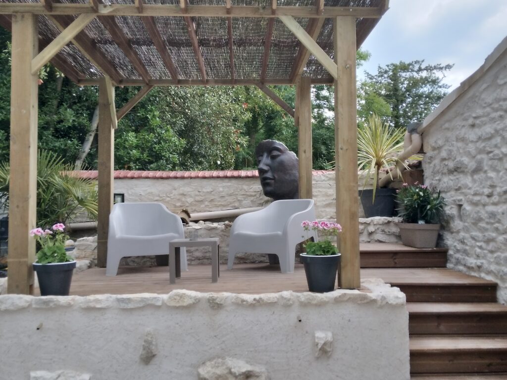 espace exterieur bassin poisson