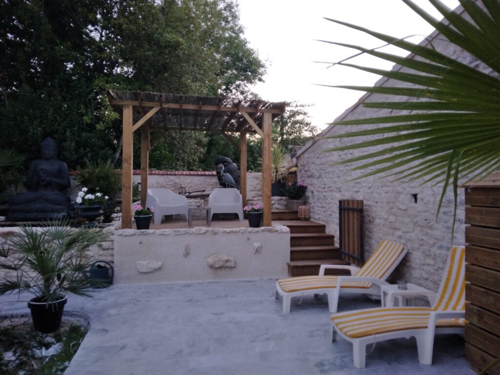 espace exterieur bassin poisson