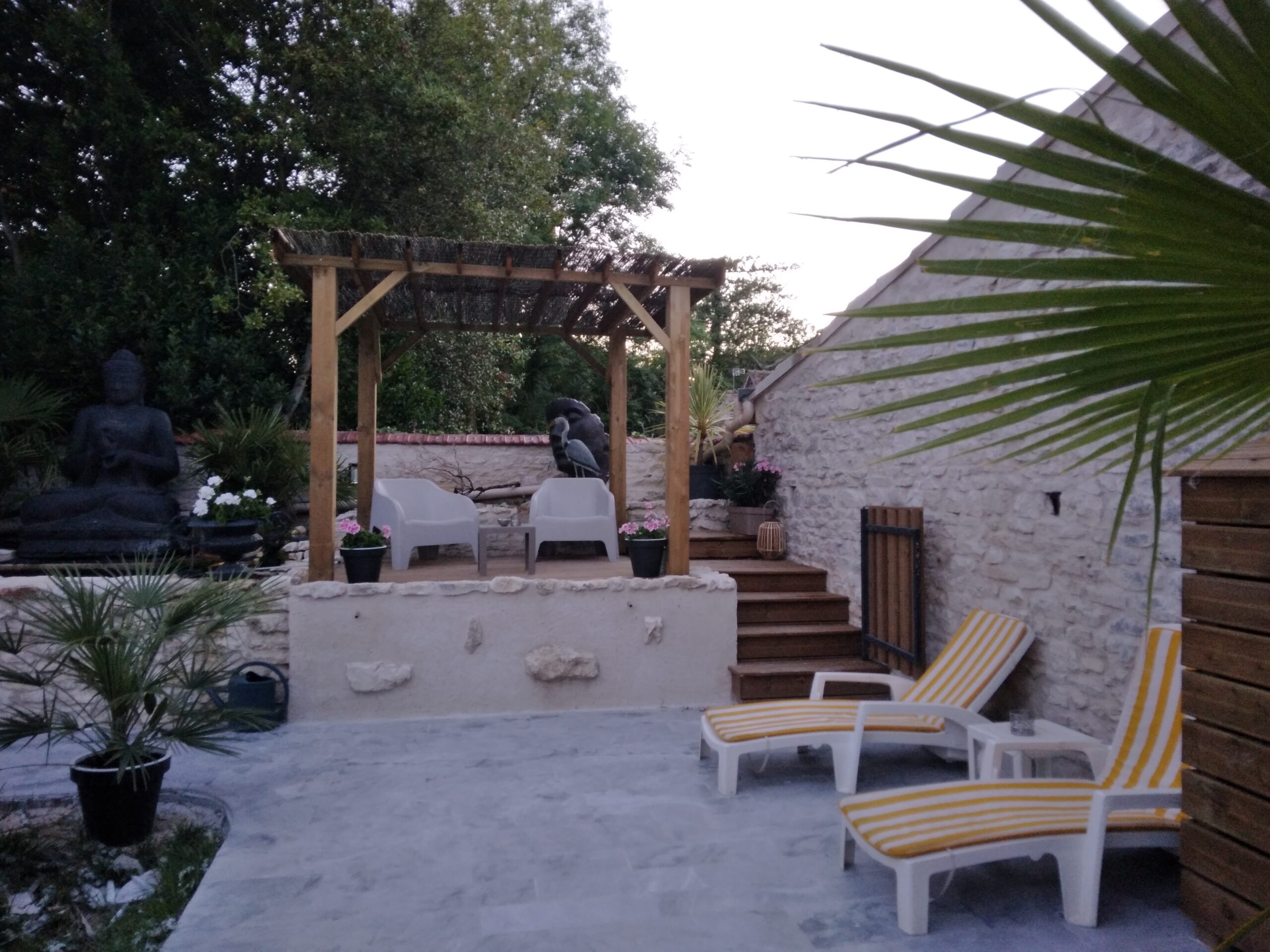 espace exterieur bassin poisson