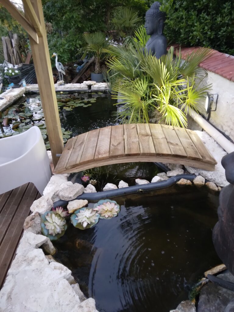 espace exterieur bassin poisson