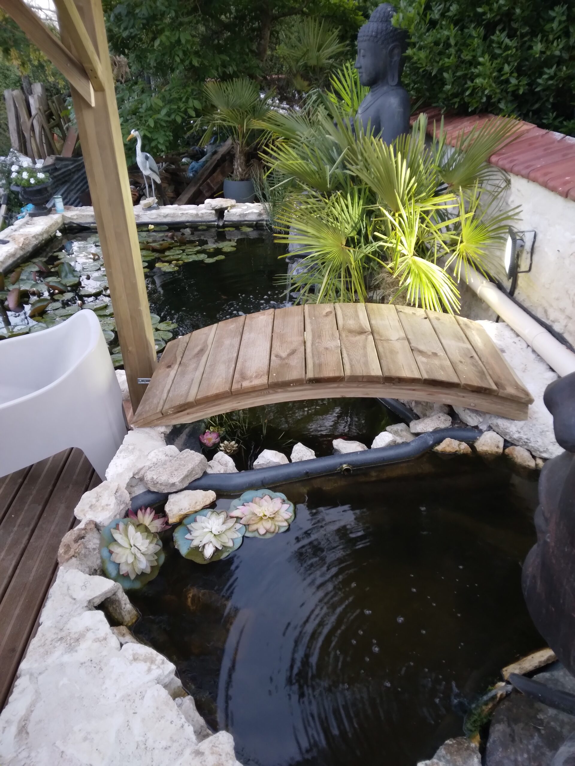 espace exterieur bassin poisson